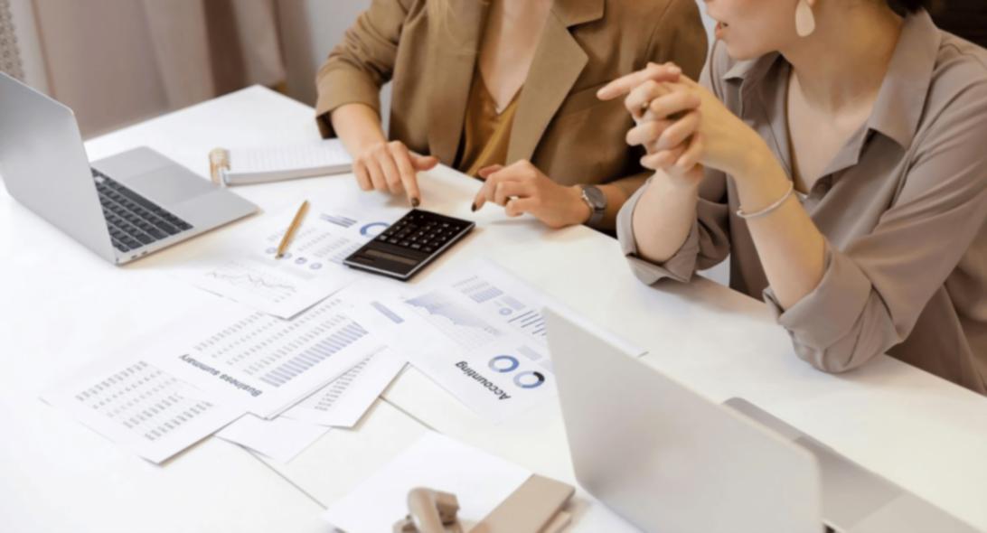 Profesionāla darba vide finanšu audita konsultācijām